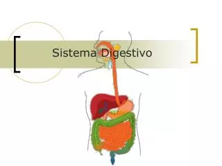 PPT Unidad 1 Estructura y función de los seres vivos Capítulo 1