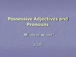 PPT Possessive Adjectives And Possessive Pronouns PowerPoint