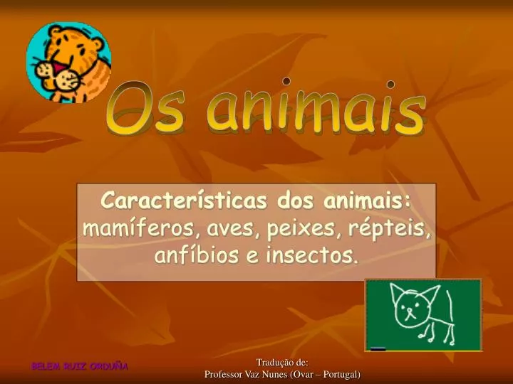 Ppt Caracter Sticas Dos Animais Mam Feros Aves Peixes R Pteis