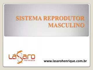 PPT Biologia Tema Sistema Reprodutor Prof Marcos Areal PowerPoint