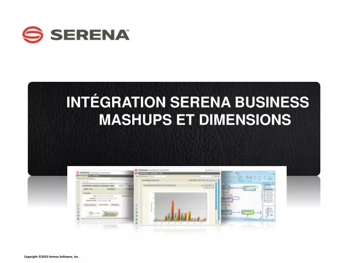 int gration serena business mashups et dimensions