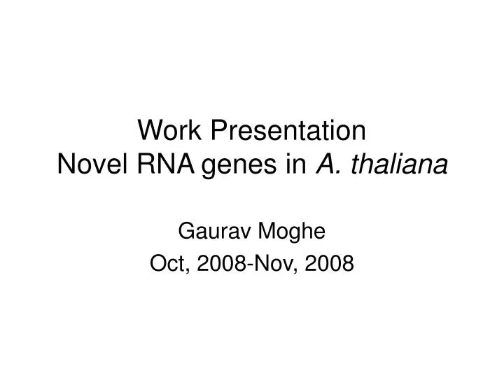 work presentation novel rna genes in a thaliana