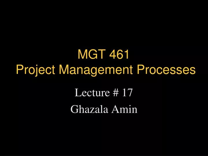 mgt 461 project management processes