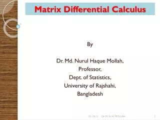 Matrix Differential Calculus