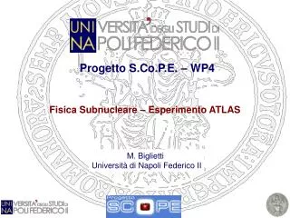 progetto s co p e wp4