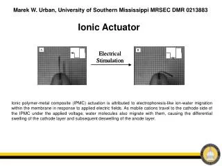 Ionic Actuator