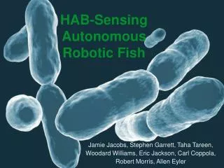 HAB-Sensing Autonomous Robotic Fish