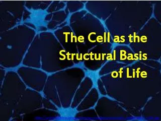 The Cell as the Structural Basis of Life