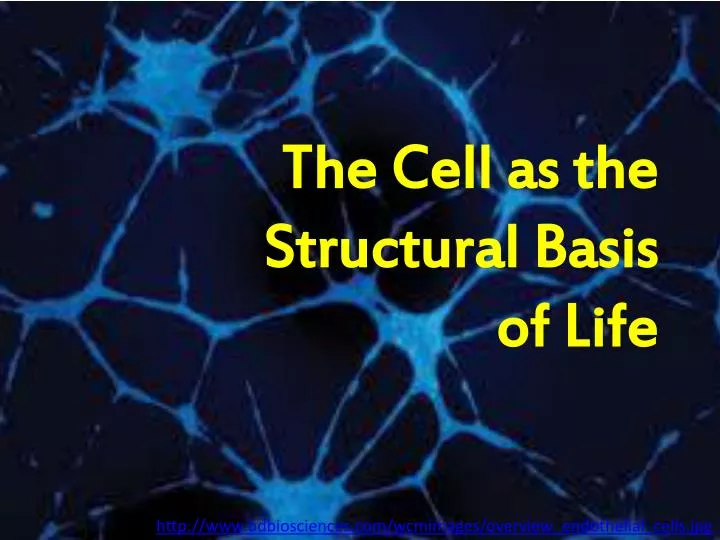 the cell as the structural basis of life