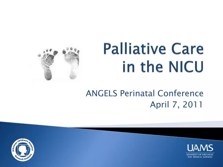 palliative care in the nicu