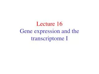 Lecture 16 Gene expression and the transcriptome I