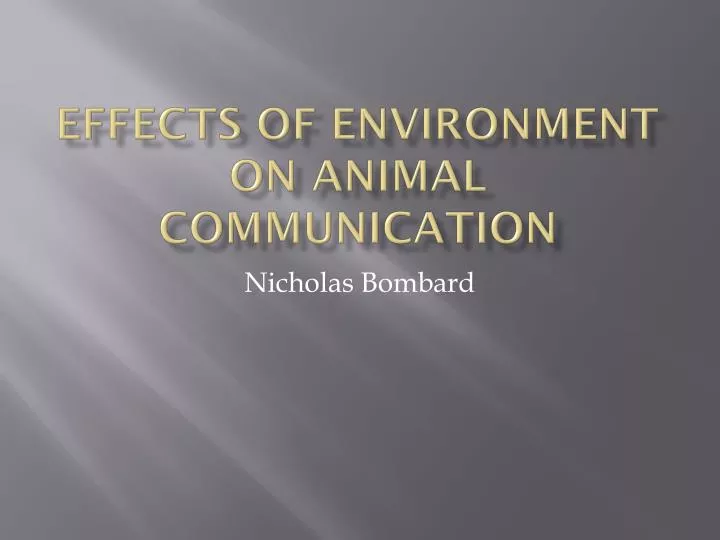 effects of environment on animal communication