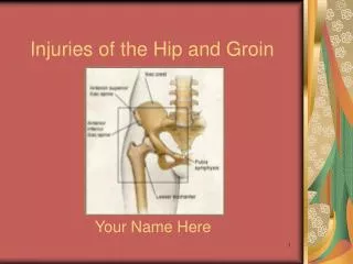 Injuries of the Hip and Groin