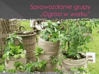 sprawozdanie grupy ogr d w worku