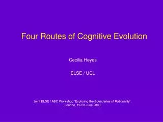 Four Routes of Cognitive Evolution