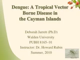 Dengue: A Tropical Vector Borne Disease in the Cayman Islands