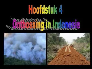 Hoofdstuk 4 Ontbossing in Indonesie