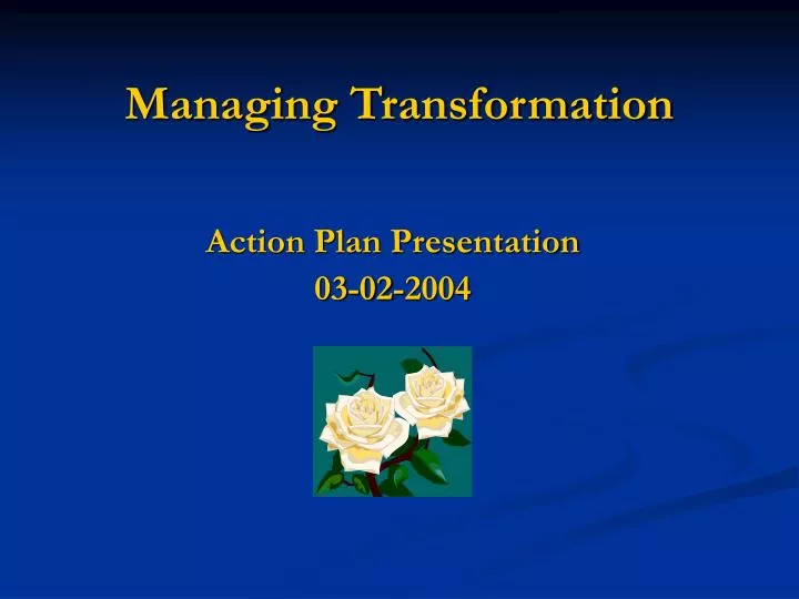 action plan presentation 03 02 2004