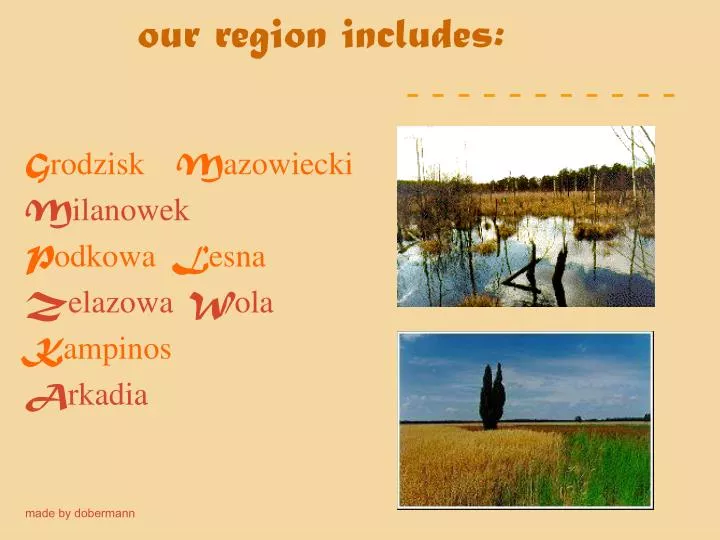 our region includes