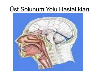 st solunum yolu hastal klar