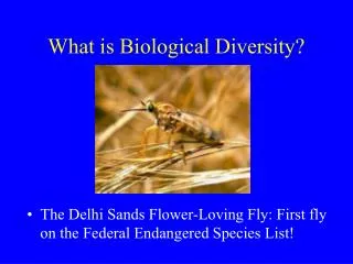 What is Biological Diversity?