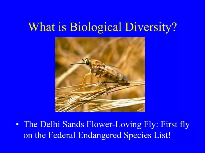 what is biological diversity