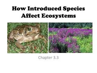How Introduced Species Affect Ecosystems