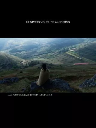 l univers visuel de wang bing