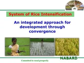 An integrated approach for development through convergence