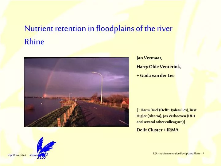 nutrient retention in floodplains of the river rhine