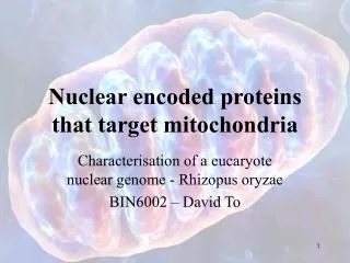 Nuclear encoded proteins that target mitochondria