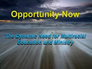 Opportunity Now