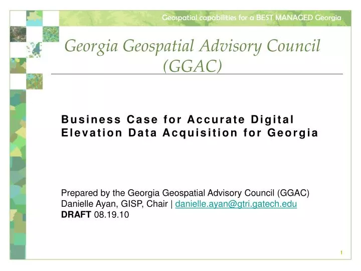 georgia geospatial advisory council ggac