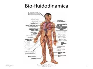 bio fluidodinamica