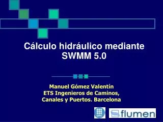 c lculo hidr ulico mediante swmm 5 0