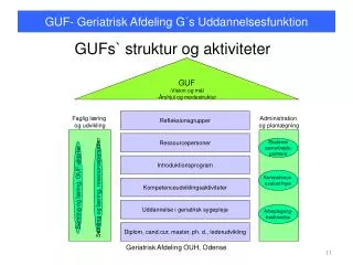 gufs struktur og aktiviteter
