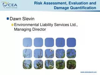 Risk Assessment , Evaluation and Damage Quantification