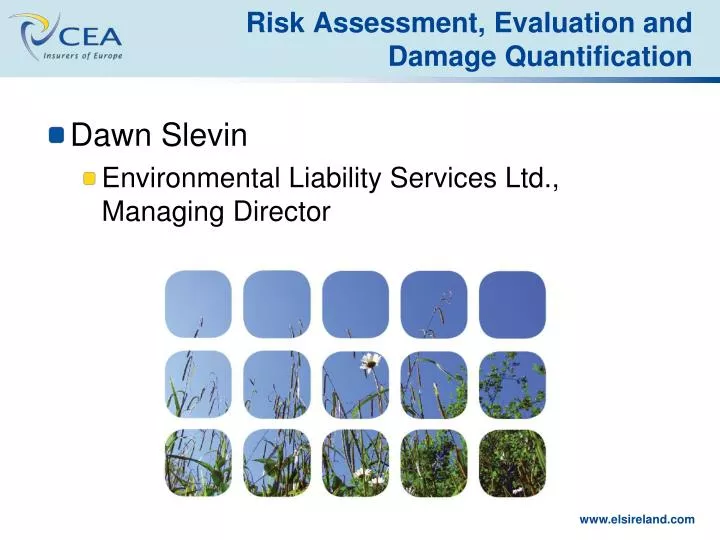 risk assessment evaluation and damage quantification