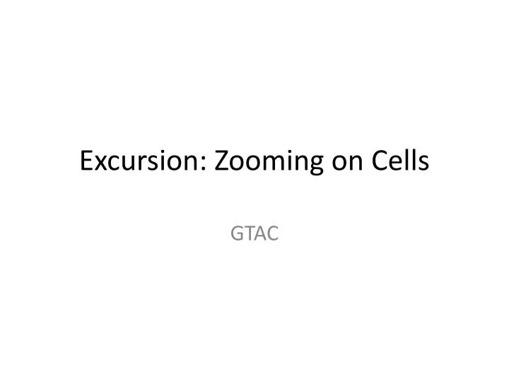 excursion zooming on cells