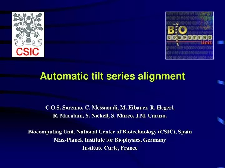 automatic tilt series alignment
