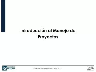 introducci n al manejo de proyectos