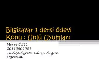 bilgisayar 1 dersi devi konu nl uyumlar