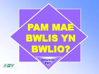 PAM MAE BWLIS YN BWLIO?