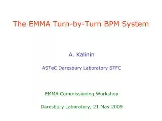 The EMMA Turn-by-Turn BPM System