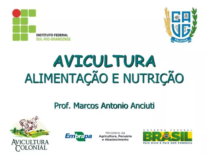 avicultura alimenta o e nutri o prof marcos antonio anciuti