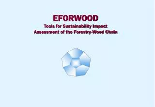 EFORWOOD Tools for Sustainability Impact Assessment of the Forestry-Wood Chain