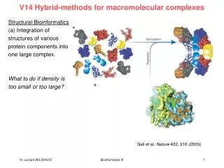 V14 Hybrid-methods for macromolecular complexes