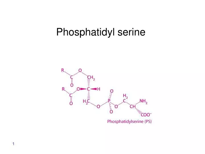 phosphatidyl serine