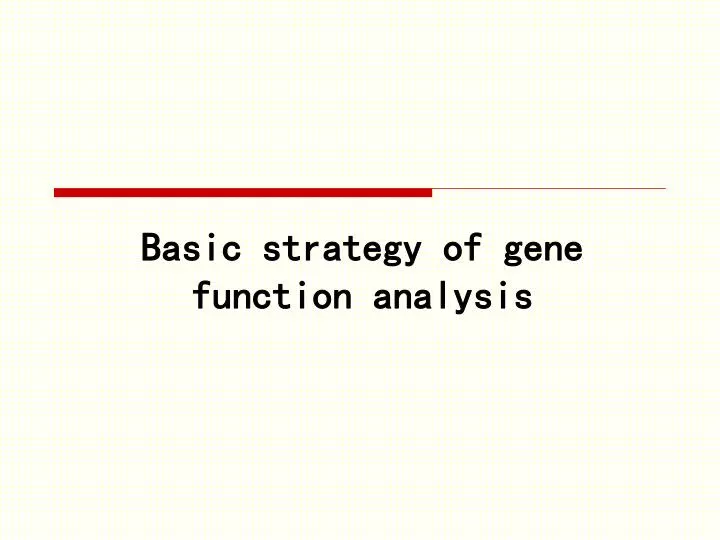 basic strategy of gene function analysis
