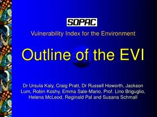 Vulnerability Index for the Environment